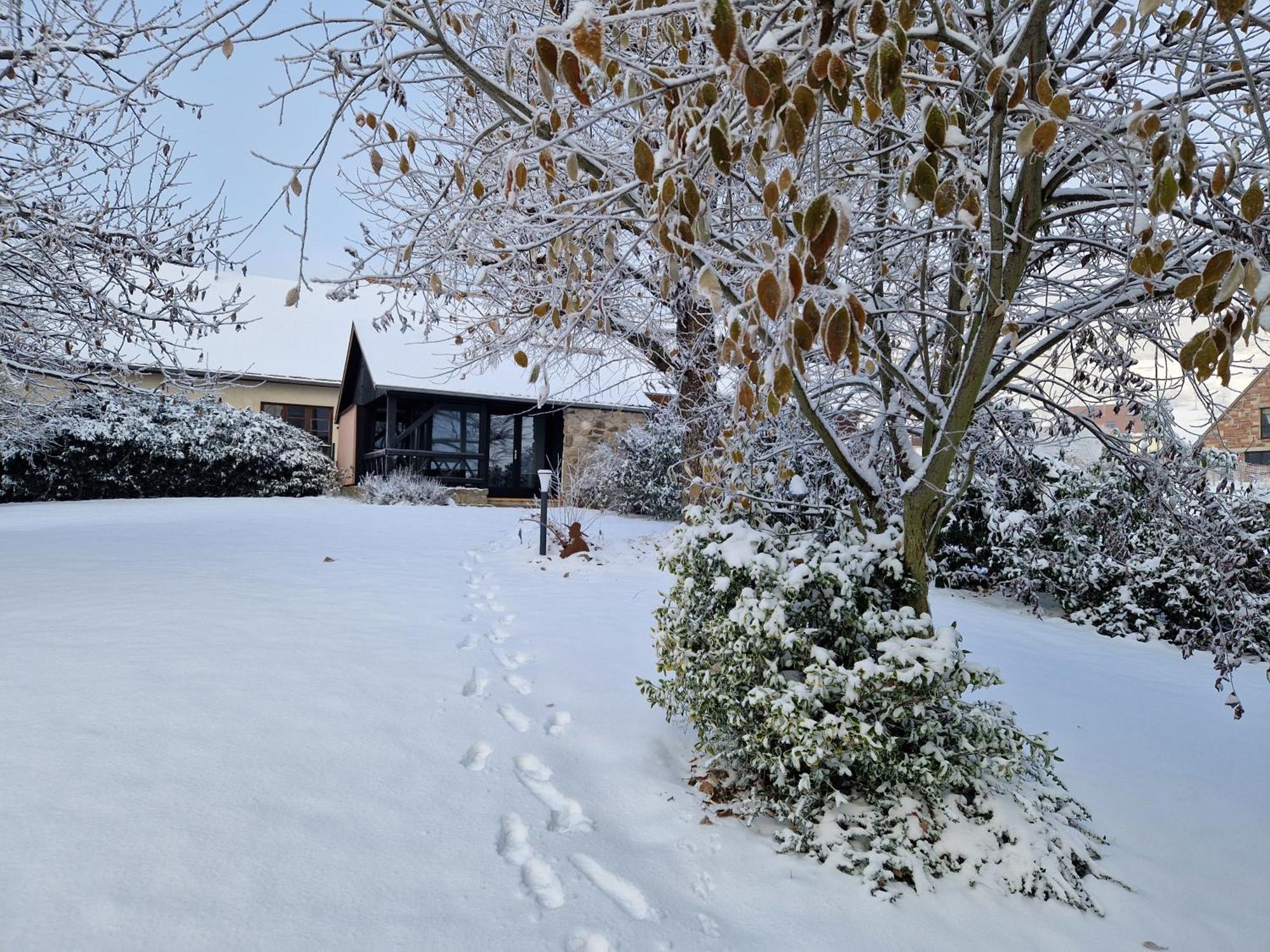 Le Breit Maison De Charme Avec Sa Dependance Breitenbach Esterno foto