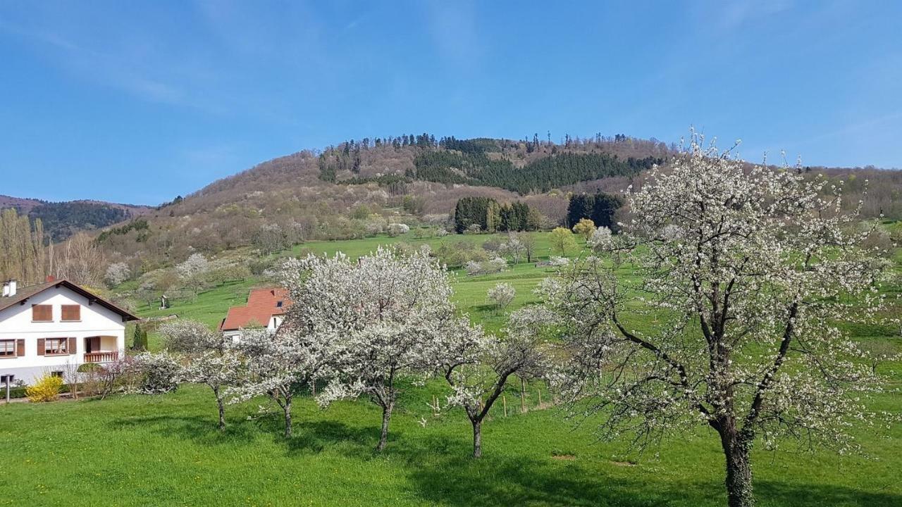 Le Breit Maison De Charme Avec Sa Dependance Breitenbach Esterno foto