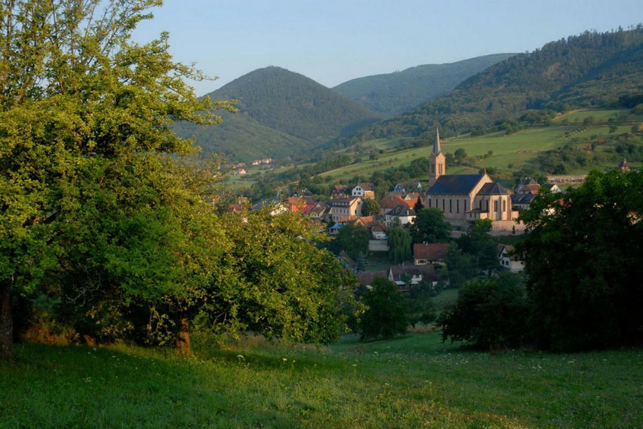 Le Breit Maison De Charme Avec Sa Dependance Breitenbach Esterno foto